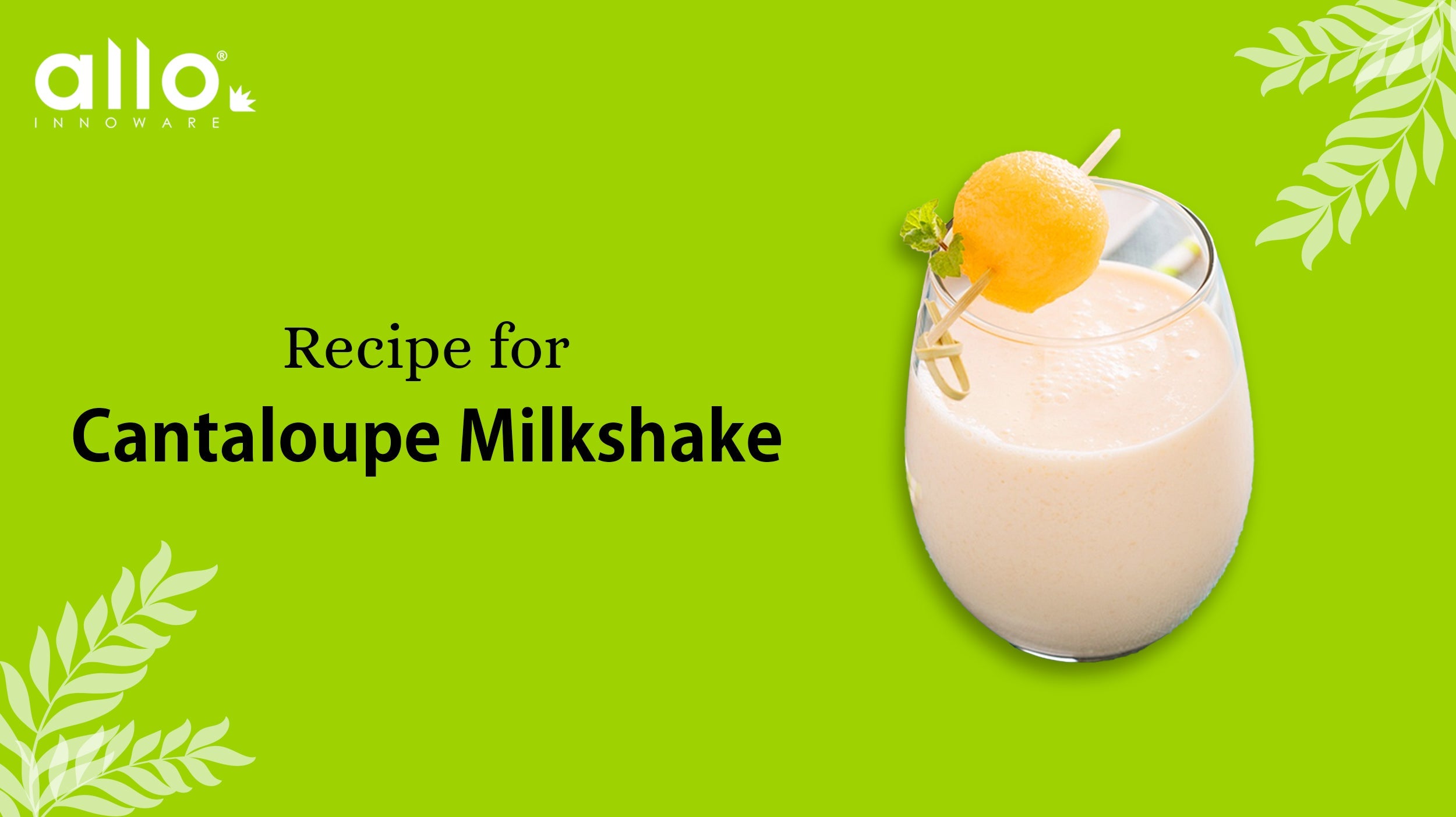 Cantaloupe Milkshake recipe - Allo Recipes – Allo Innoware