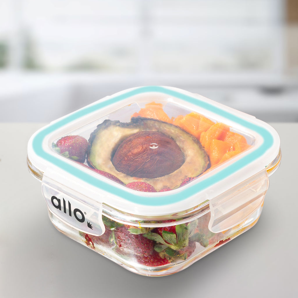 Allo Food Safe Glass Containers with Lids, 450°C Oven Microwave Safe Containers, High Borosilicate Meal Prep Glass Food Storage Containers for Kitchen, 550ml x 1, square