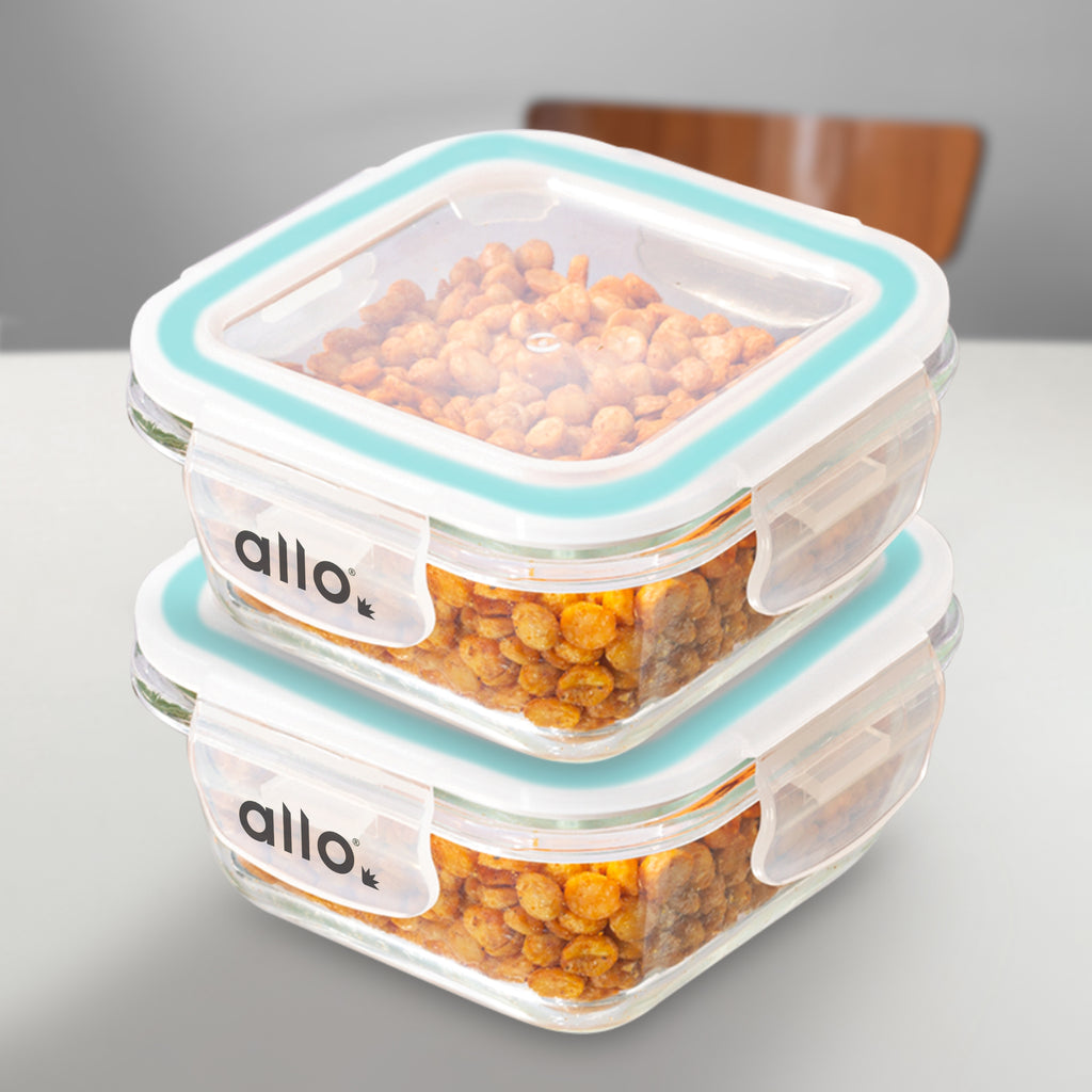 Allo Food Safe Glass Containers with Lids, 450°C Oven Microwave Safe Containers, High Borosilicate Meal Prep Glass Food Storage Containers for Kitchen, 320ml x 2, square