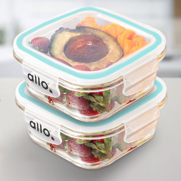 Allo Food Safe Glass Containers with Lids, 450°C Oven Microwave Safe Containers, High Borosilicate Meal Prep Glass Food Storage Containers for Kitchen, 550ml x 2, square