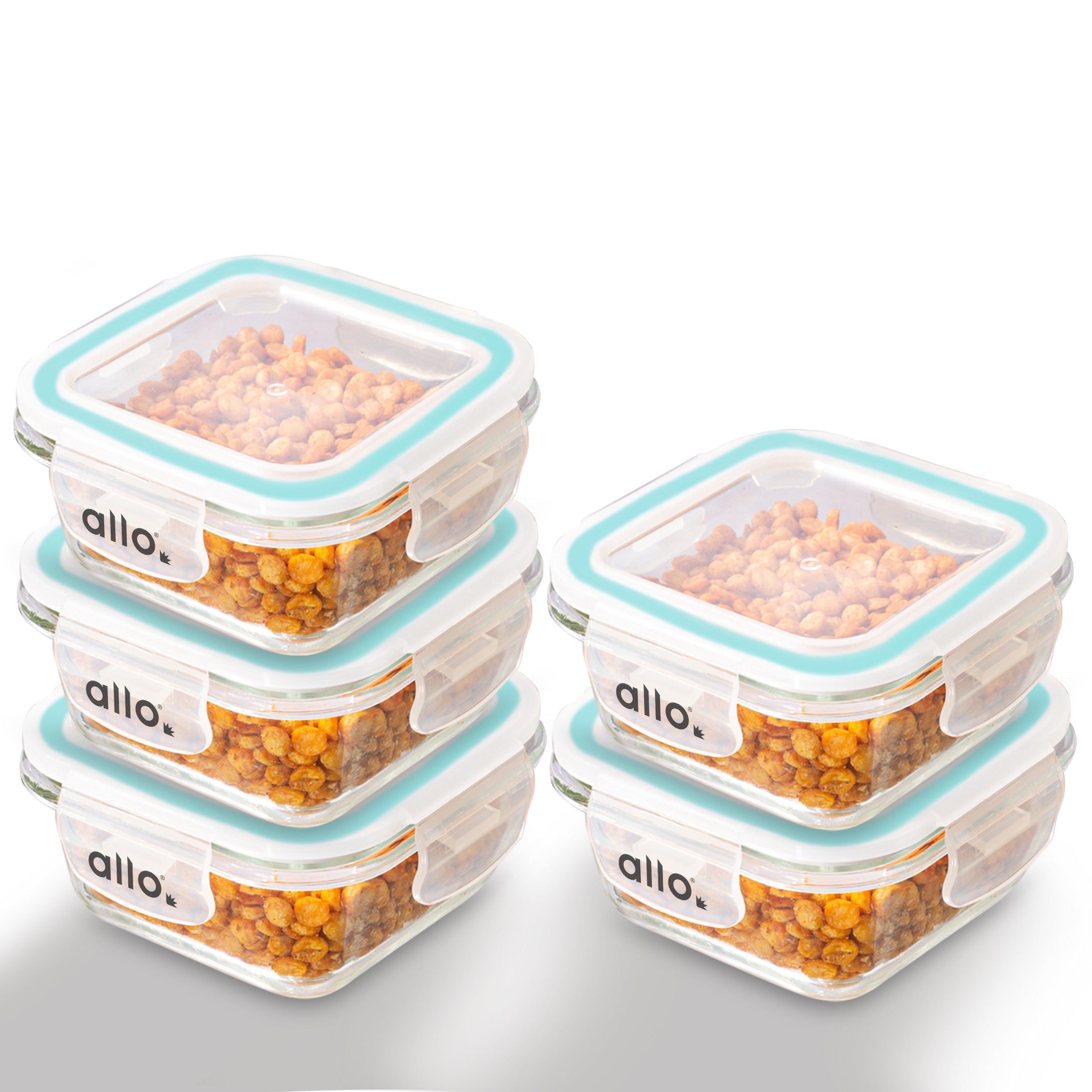 Allo Food Safe Glass Containers with Lids, 450°C Oven Microwave Safe Containers, High Borosilicate Meal Prep Glass Food Storage Containers for Kitchen, 320ml x 5, square
