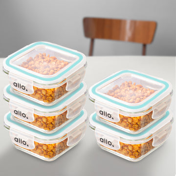 Allo Food Safe Glass Containers with Lids, 450°C Oven Microwave Safe Containers, High Borosilicate Meal Prep Glass Food Storage Containers for Kitchen, 320ml x 5, square