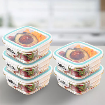 Allo Food Safe Glass Containers with Lids, 450°C Oven Microwave Safe Containers, High Borosilicate Meal Prep Glass Food Storage Containers for Kitchen, 550ml x 5, square