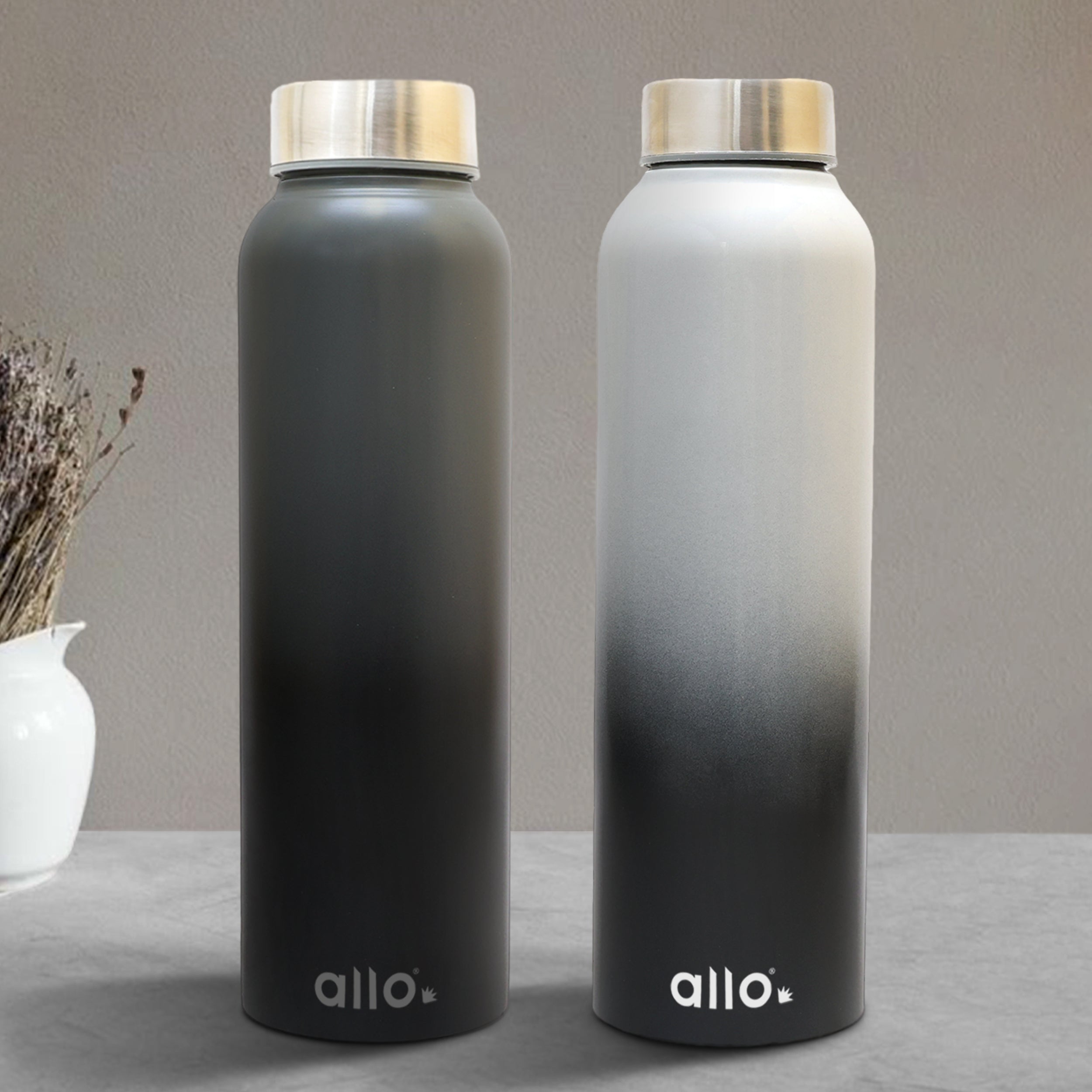 Allo Stainless Steel Water Bottle For Adults, Kids 0.95 Litre Water Bottles For School, Office, Sports, Gym 950ML Water Bottle For Men And Women, Pack Of 2| Leak Proof, Bpa Free, Dark Grey & White Black