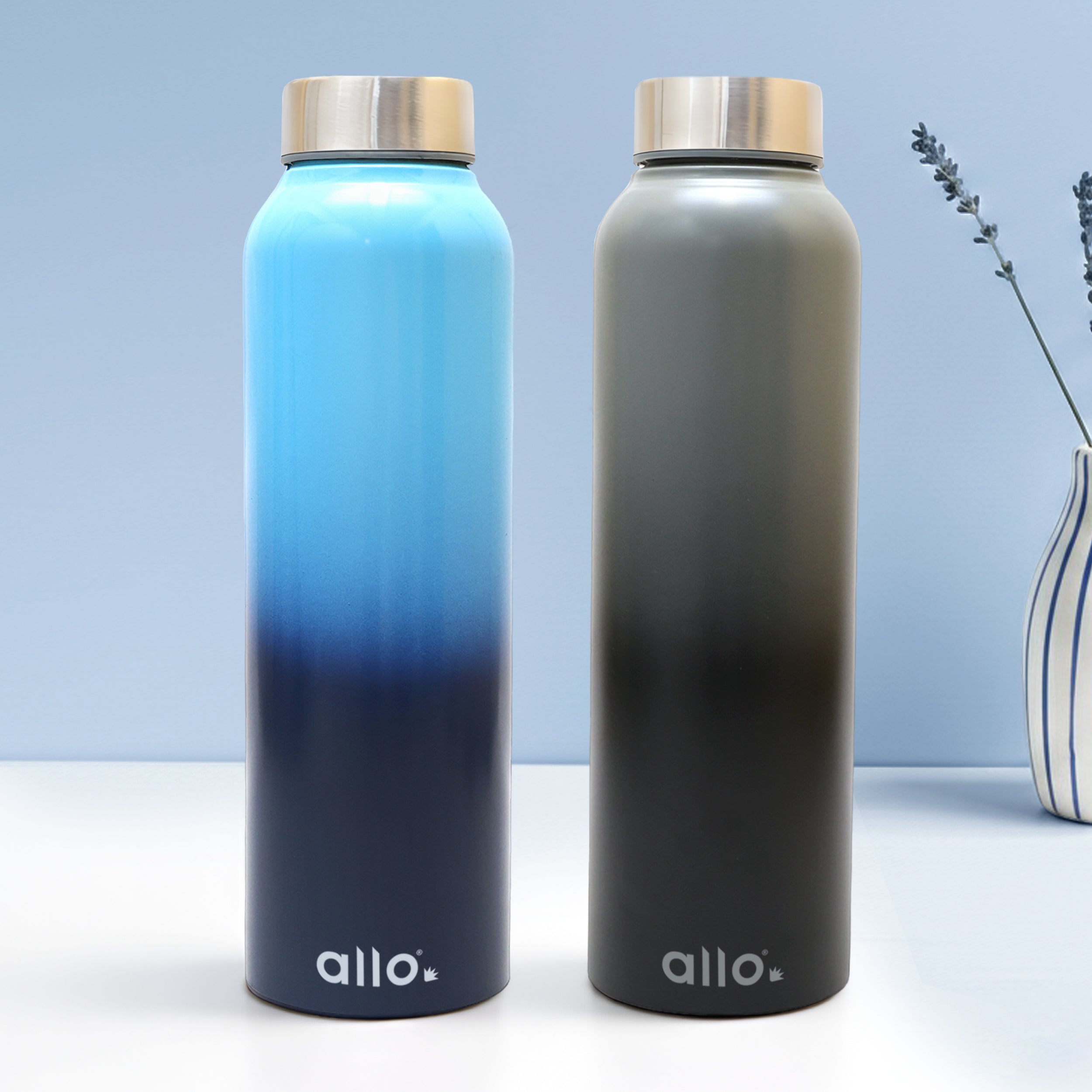 Allo Stainless Steel Water Bottle For Adults, Kids 0.95 Litre Water Bottles For School, Office, Sports, Gym 950ML Water Bottle For Men And Women, Pack Of 2| Leak Proof, Bpa Free, Light Blue & Dark Grey