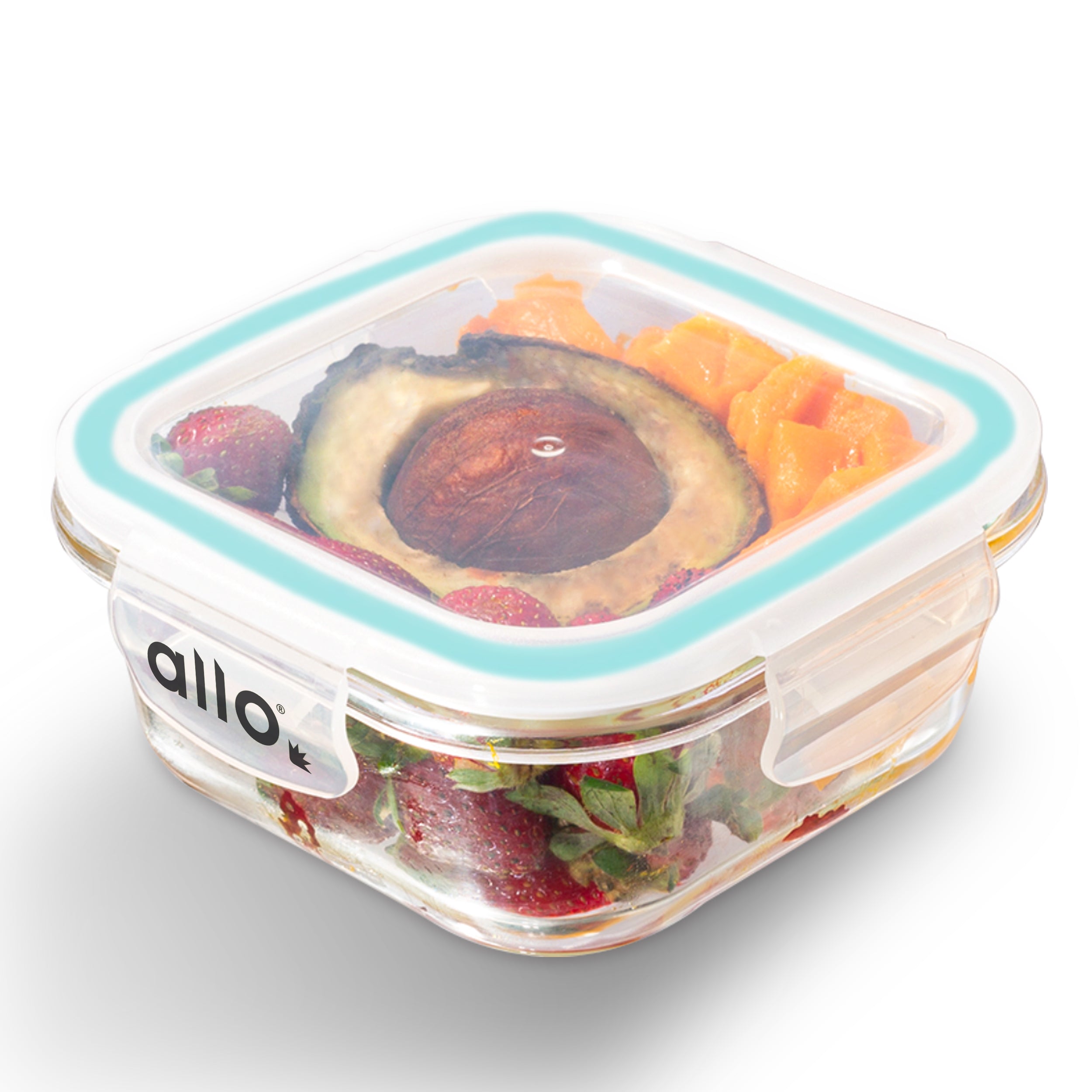 Allo Food Safe Glass Containers with Lids, 450°C Oven Microwave Safe Containers, High Borosilicate Meal Prep Glass Food Storage Containers for Kitchen, 550ml x 1, square