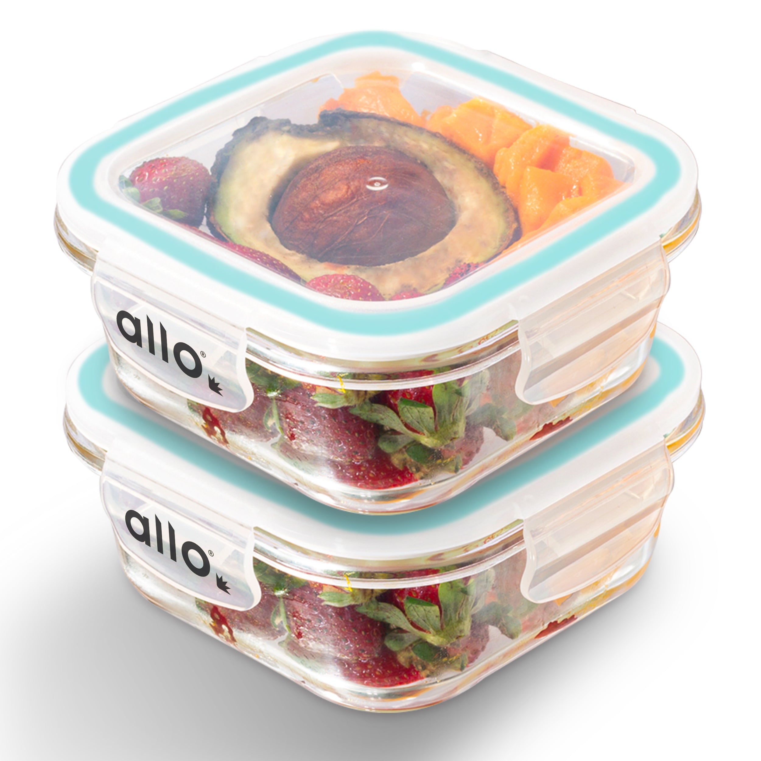 Allo Food Safe Glass Containers with Lids, 450°C Oven Microwave Safe Containers, High Borosilicate Meal Prep Glass Food Storage Containers for Kitchen, 550ml x 2, square