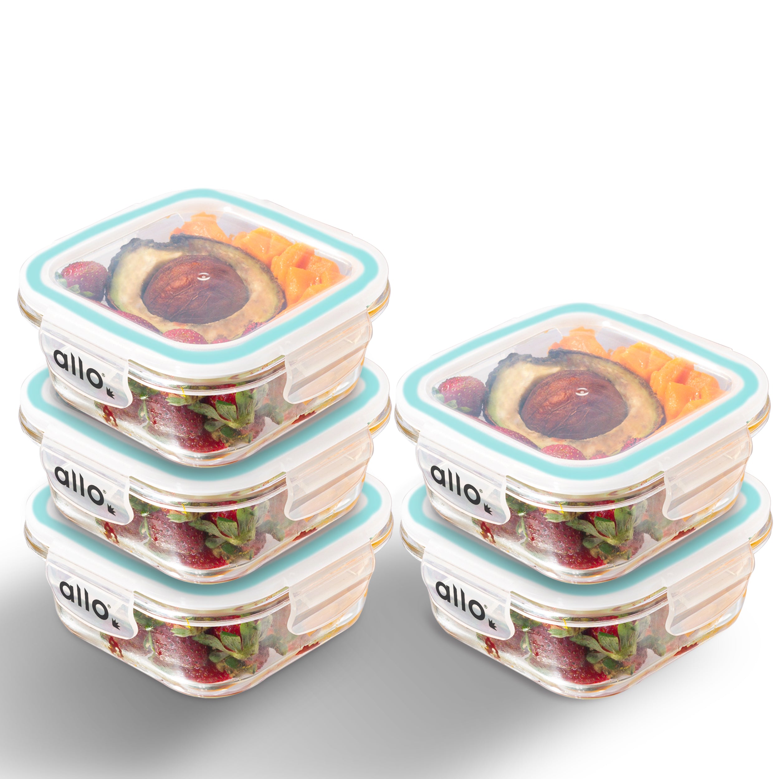 Allo Food Safe Glass Containers with Lids, 450°C Oven Microwave Safe Containers, High Borosilicate Meal Prep Glass Food Storage Containers for Kitchen, 550ml x 5, square