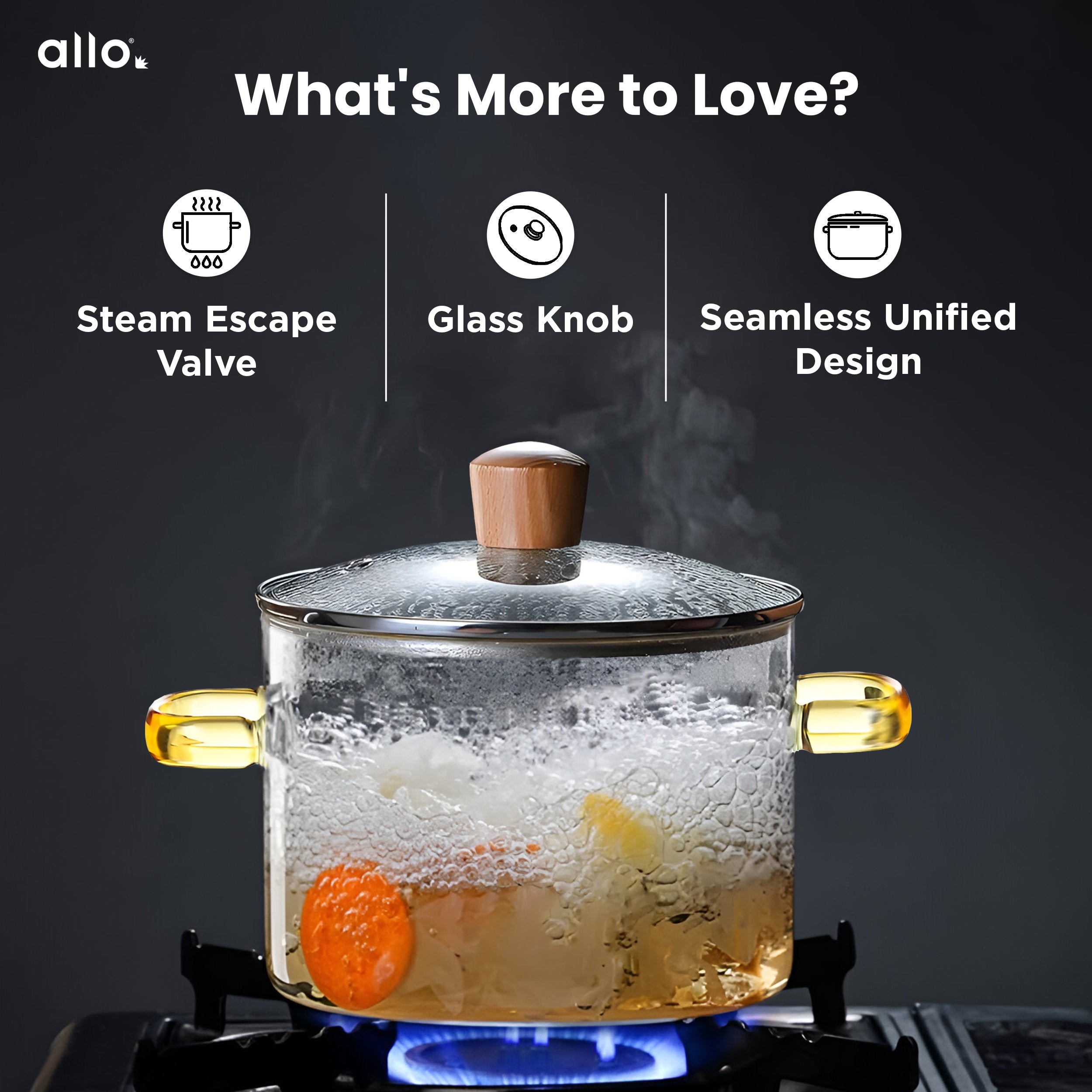 Allo Glass Cookware Cooking Pot With Glass Lid, 3000 Ml | Glass Casserole, Gas Stove Safe, Microwave Safe,100% Borosilicate Glass Vessel For Kitchen